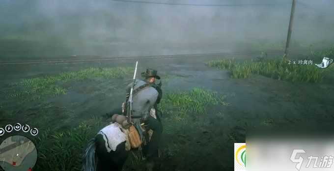 荒野大镖客2草药大师挑战10攻略 草药大师挑战10怎么做