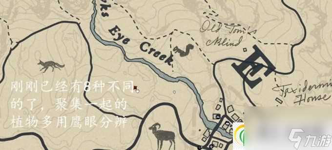 荒野大镖客2草药大师挑战6攻略 草药大师挑战6怎么做