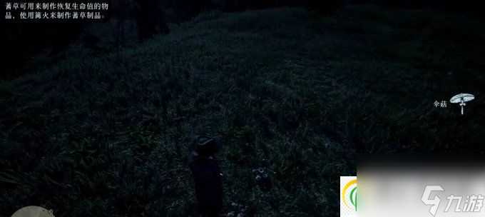 荒野大镖客2草药大师挑战6攻略 草药大师挑战6怎么做