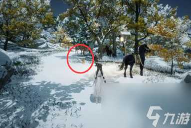 射雕无定坊猛兽献宝在哪里攻略