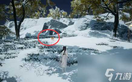 射雕无定坊猛兽献宝在哪里攻略