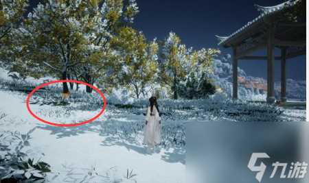 射雕无定坊猛兽献宝在哪里攻略