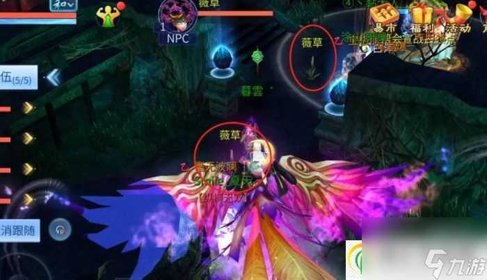 倩女幽魂手游采薇能打几次 采薇活动攻略