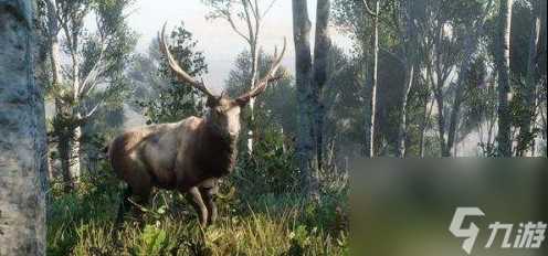 荒野大镖客2双持手枪技巧推荐 具体介绍