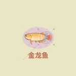 桃源深处有人家关六菲喜欢什么 关六菲喜好物品介绍