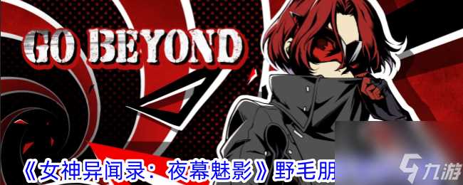 女神异闻录夜幕魅影野毛朋子配队攻略