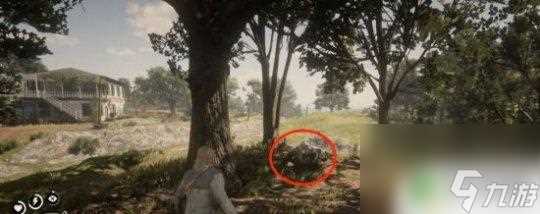 荒野大镖客2陌生人任务在哪里 荒野大镖客2紧箍的羁绊任务攻略