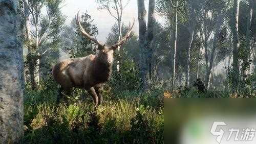 荒野大镖客2双持按键 荒野大镖客2怎么双持手枪