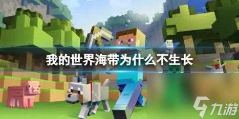 我的世界海带不生长原因介绍
