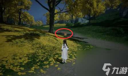 射雕无定坊猛兽献宝在哪里攻略