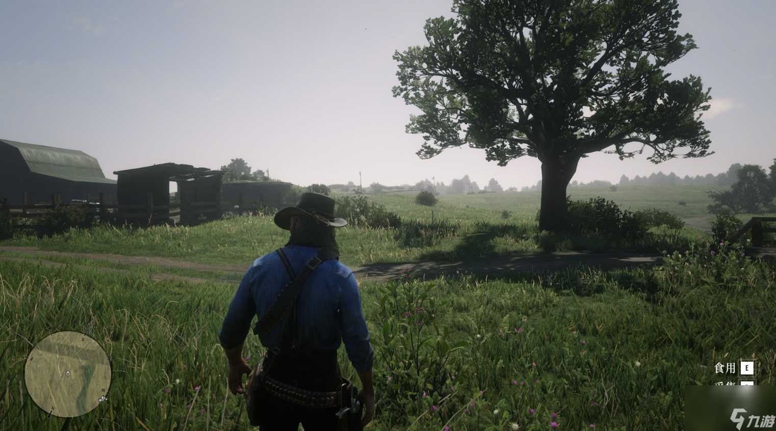 荒野大镖客2草药大师挑战9攻略推荐