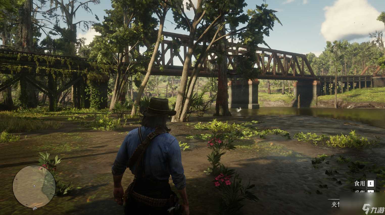 荒野大镖客2草药大师挑战9攻略推荐