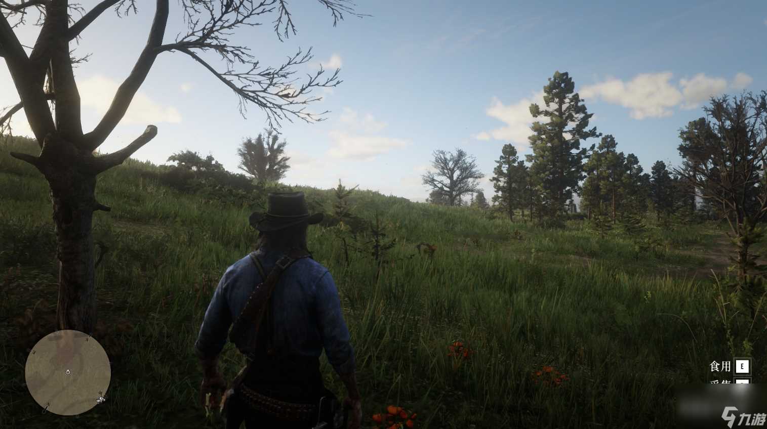 荒野大镖客2草药大师挑战9攻略推荐