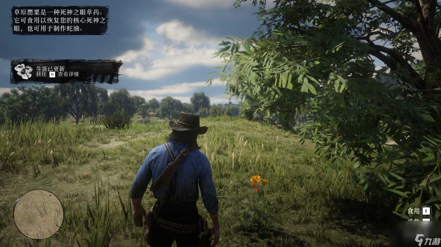 荒野大镖客2草药大师挑战9攻略推荐