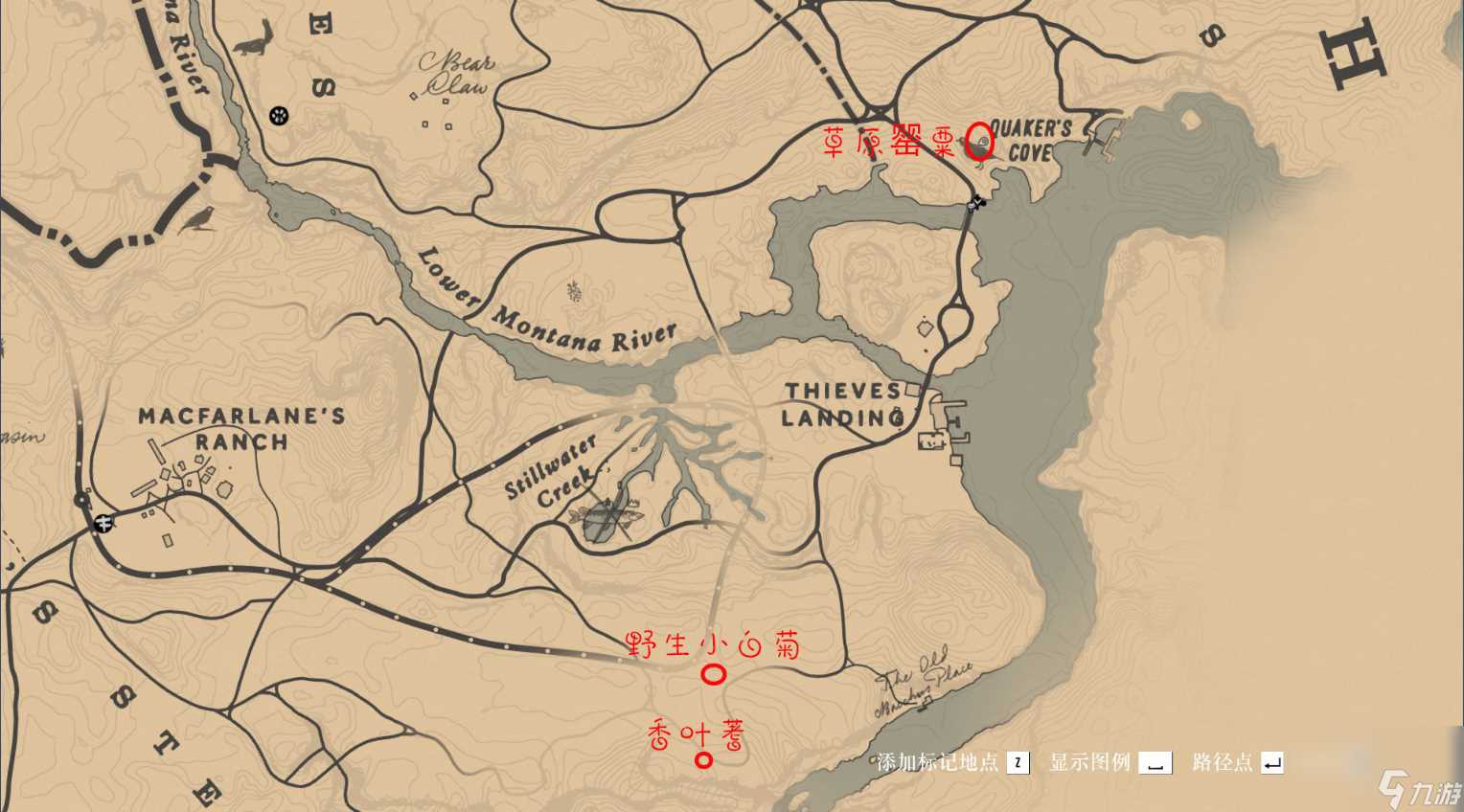 荒野大镖客2草药大师挑战9攻略推荐