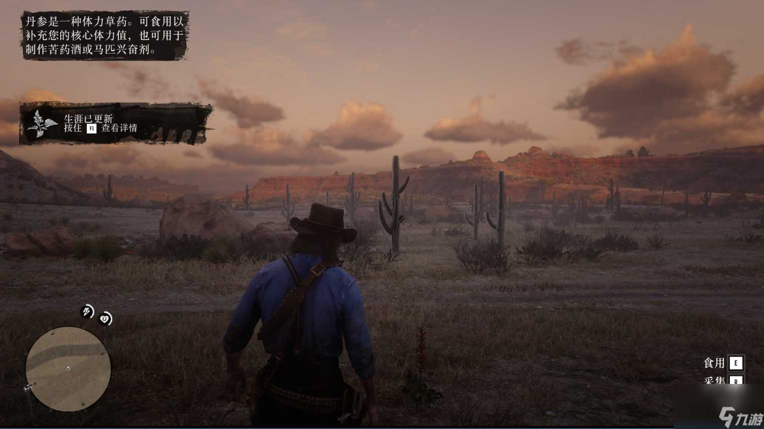 荒野大镖客2草药大师挑战9攻略推荐