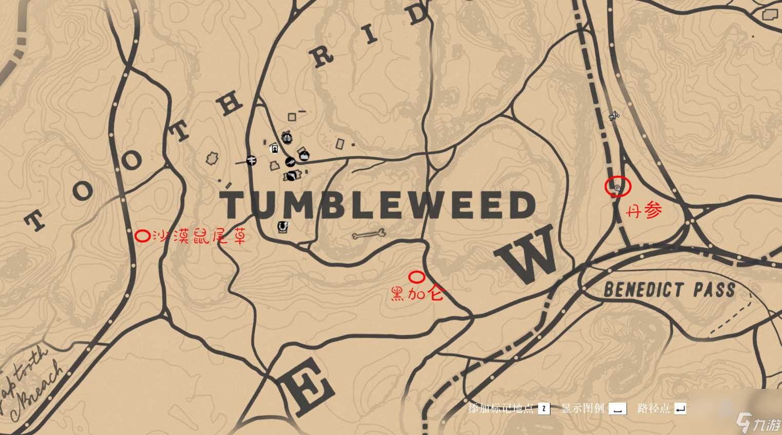 荒野大镖客2草药大师挑战9攻略推荐