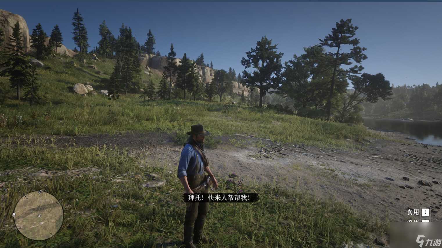 荒野大镖客2草药大师挑战7攻略推荐