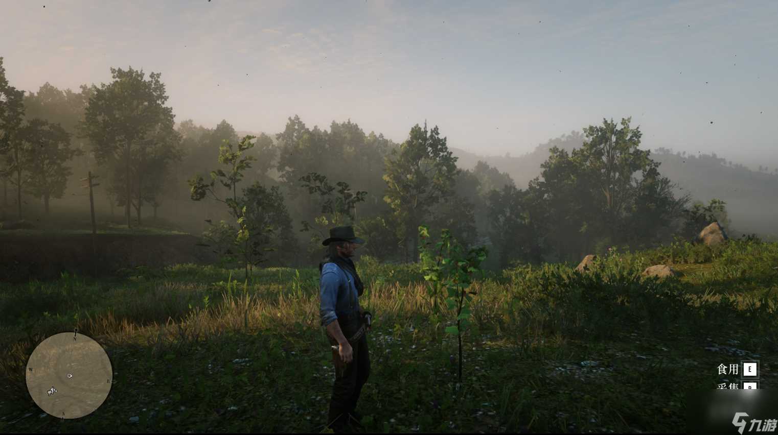 荒野大镖客2草药大师挑战7攻略推荐