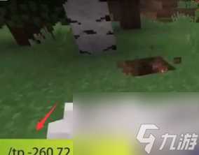 我的世界传送指令坐标怎么写 我的世界传送指令坐标怎么输入