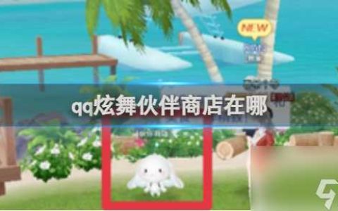 qq炫舞伙伴商店在哪里介绍