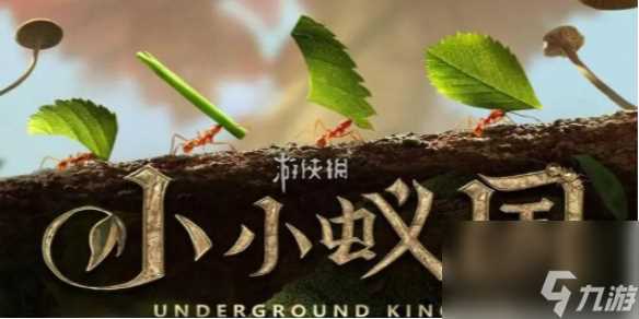 小小蚁国蚁后升级仓库前置条件介绍