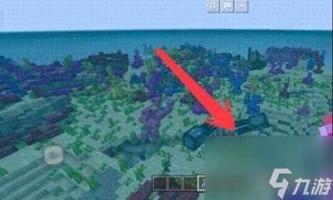 我的世界珊瑚区域寻找方法介绍