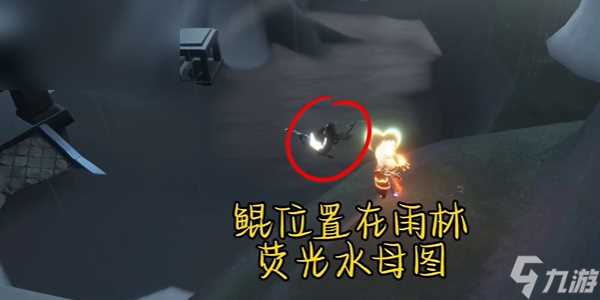 光遇每日任务攻略5.28