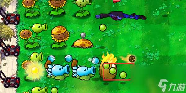 植物大战僵尸杂交版火炬坚果怎么样