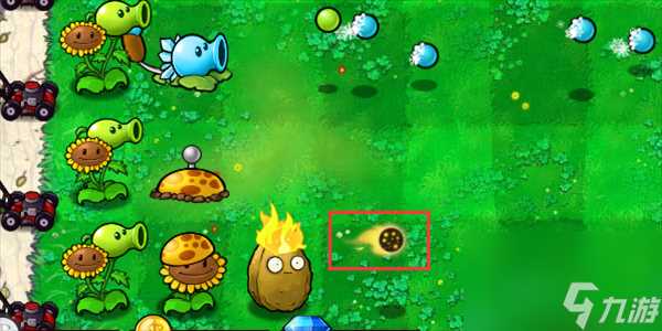 植物大战僵尸杂交版火炬坚果怎么样