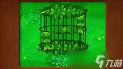 植物大战僵尸杂交版钻卡植物有什么