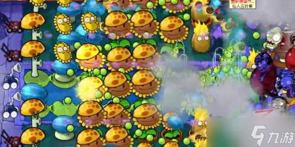 植物大战僵尸杂交版冒险模式第二十关