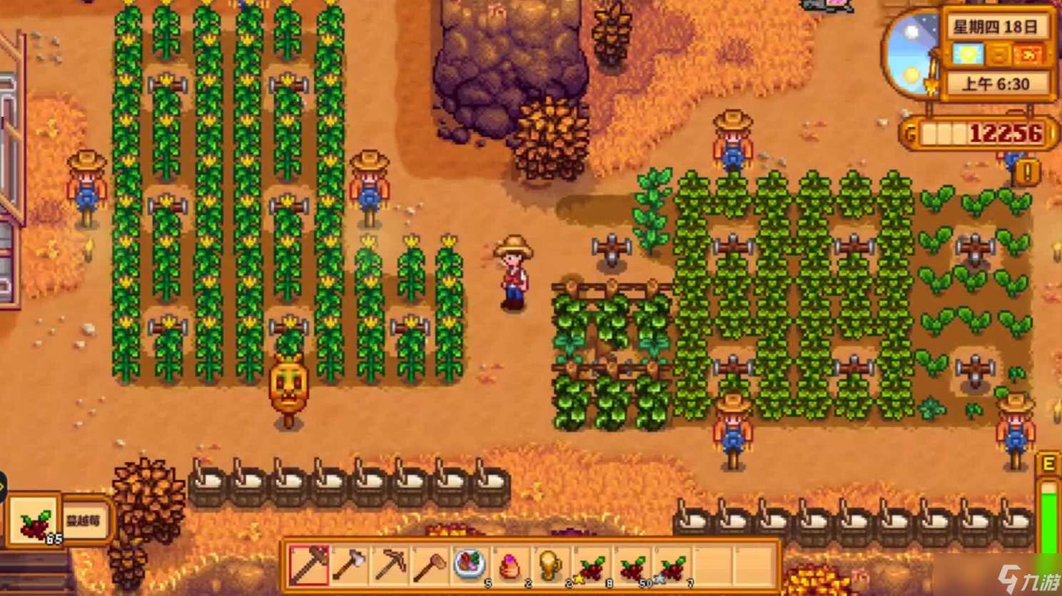 星露谷物语远古种子的获取方法有什么