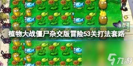 植物大战僵尸杂交版冒险53关打法套路