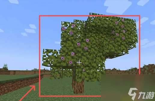 我的世界繁茂山洞怎么找