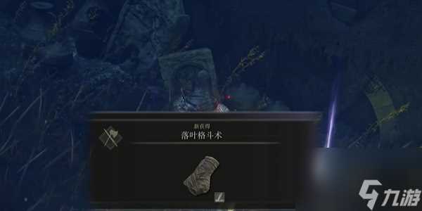 老头环落叶格斗术获取方法