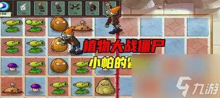 植物大战僵尸 挑战无尽的僵尸大军