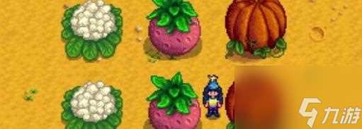 以星露谷物语为例 打造自己的理想农场 以星露谷物语为例