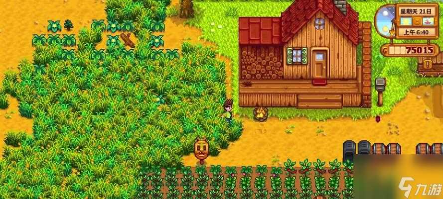 星露谷物语养鸡攻略 从建设鸡舍开始