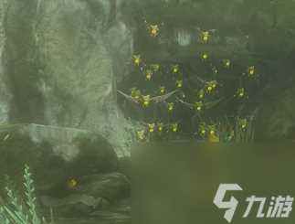 塞尔达蝙蝠眼珠在哪买 塞尔达蝙蝠眼球有什么用