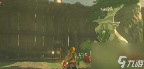 塞尔达武器格子需要多少 塞尔达武器格子怎么增加