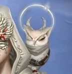 第五人格怎么获取先知纯白之盐