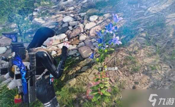 七日世界变异植物在哪里 刷新点及获取方法介绍