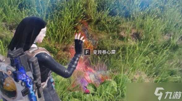 七日世界变异植物在哪里 刷新点及获取方法介绍