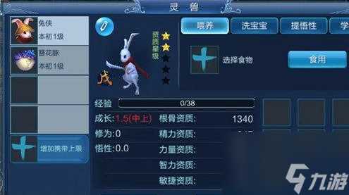 倩女幽魂灵兽洗练技巧攻略 倩女幽魂灵兽怎么洗练
