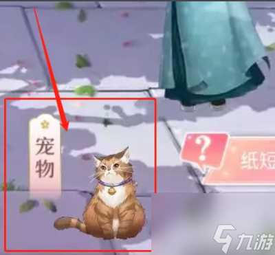 后宫秘史怎么喂出大猫 爱江山更爱美人 后宫秘史 怎么养宠物