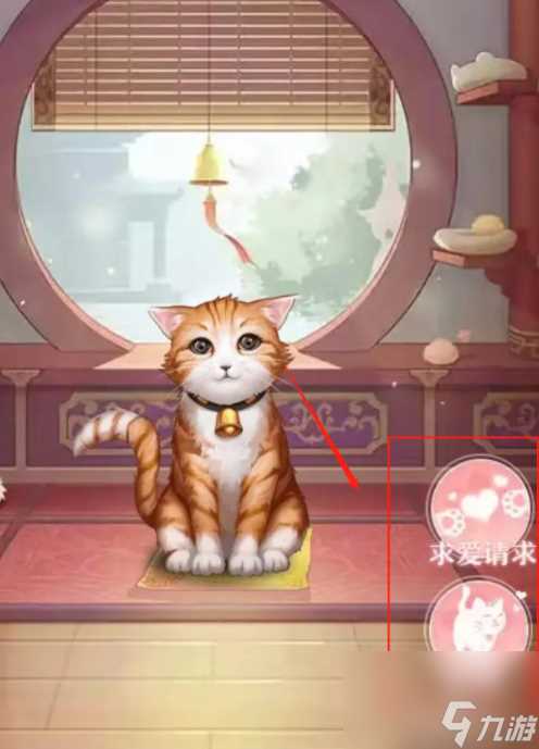 后宫秘史怎么喂出大猫 爱江山更爱美人 后宫秘史 怎么养宠物