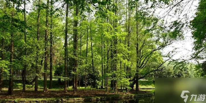 《魅影传说》游戏中定海丹获取方法详解 以游戏内任务和活动为主