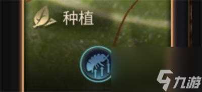 小小蚁国习性推荐 小小蚁国习性怎么选