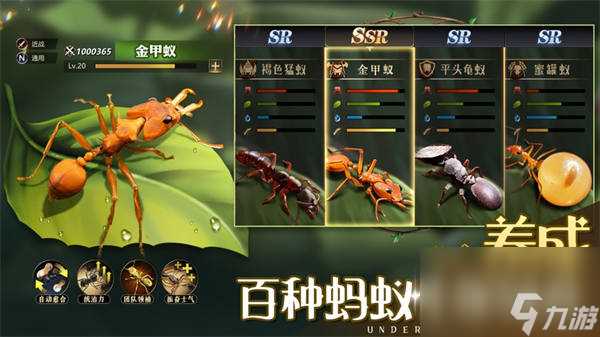 小小蚁国兵种搭配推荐 小小蚁国兵种怎么搭配